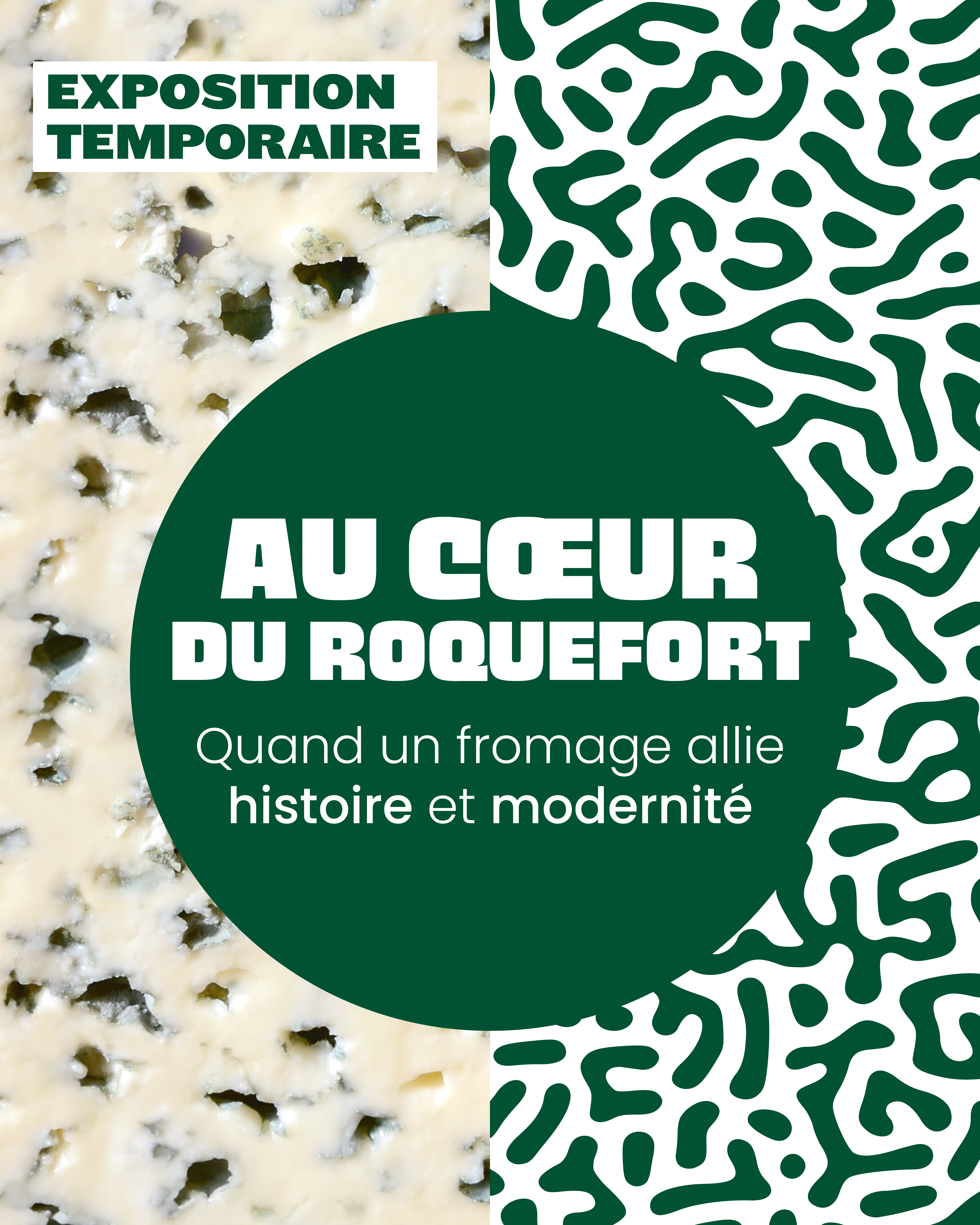 Image Projet 1